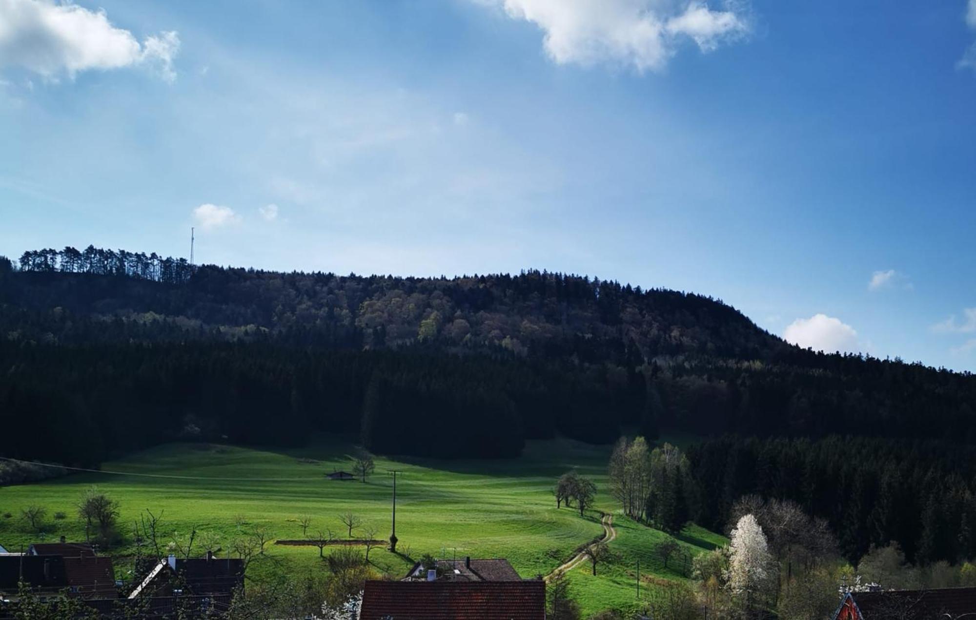 Ferienwohnung Blick Rappenstein Hausen am Tann Exteriér fotografie