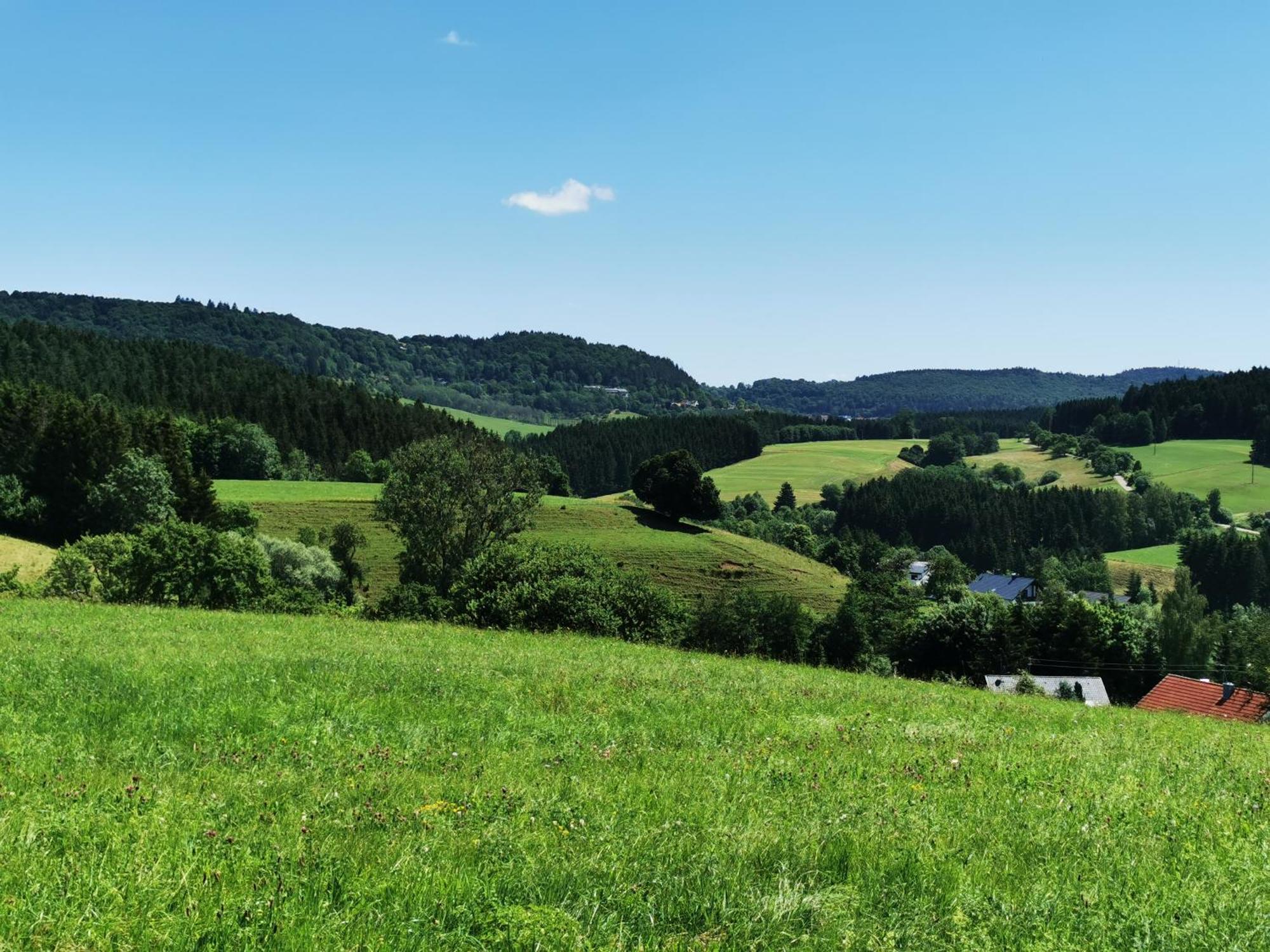 Ferienwohnung Blick Rappenstein Hausen am Tann Exteriér fotografie